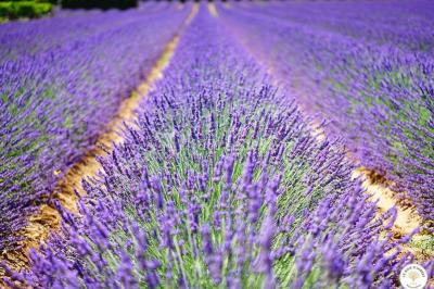 Location salle Rocamadour (Lot) - Le Bois d'Imbert #30