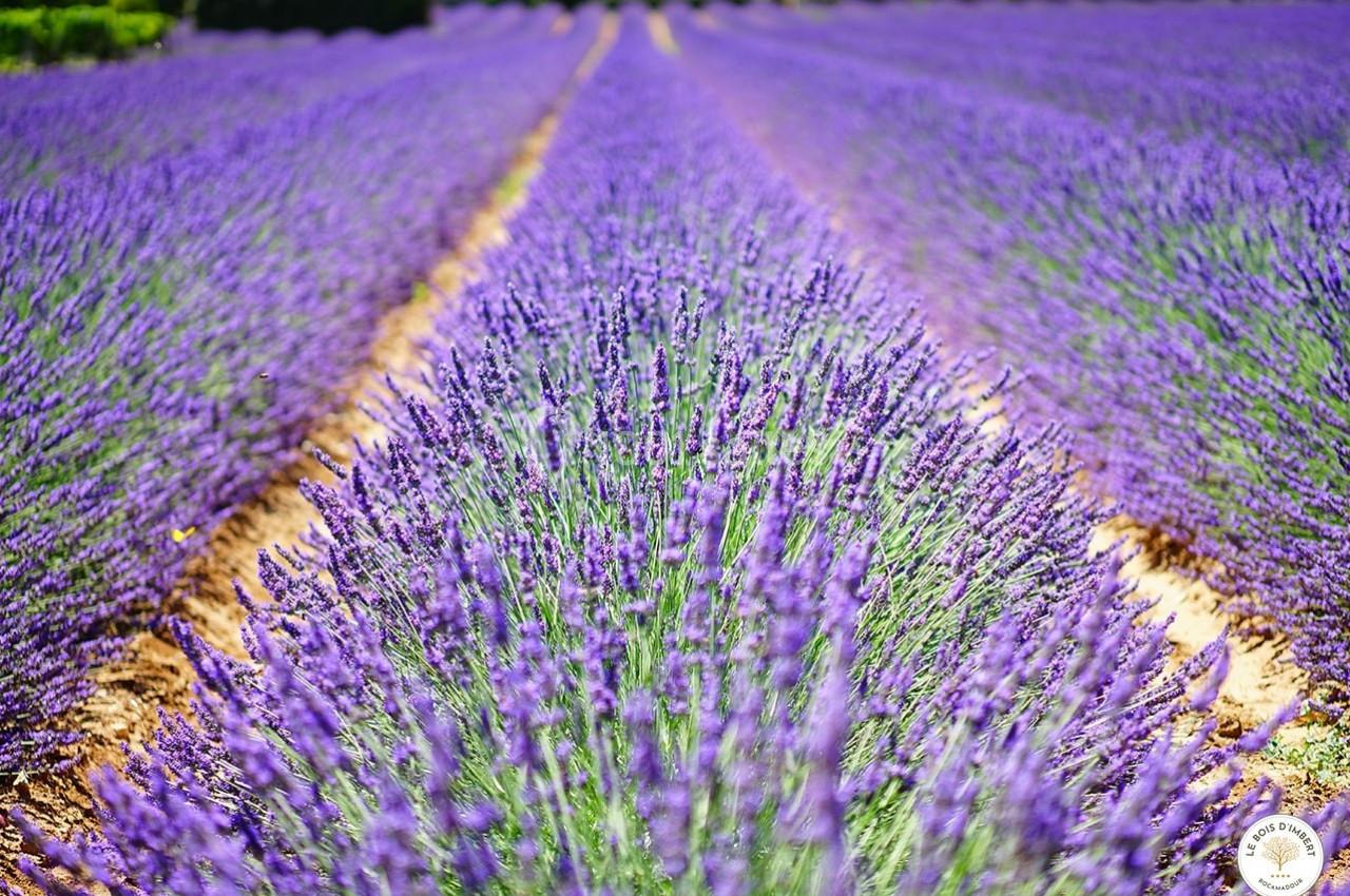 Location salle Rocamadour (Lot) - Le Bois d'Imbert #26