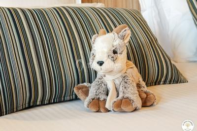 Location salle Rocamadour (Lot) - Le Bois d'Imbert #25