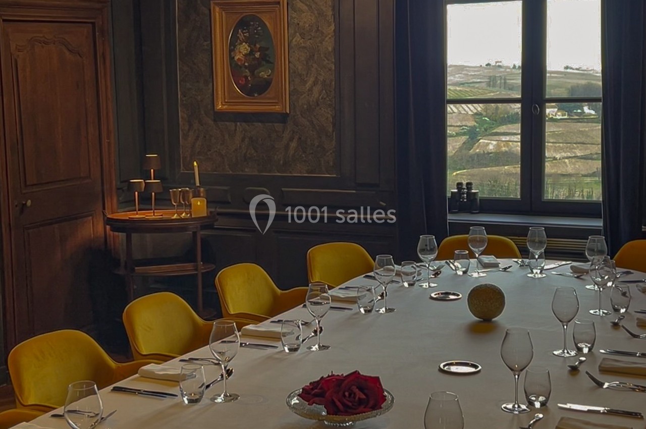 Location salle Quincié-en-Beaujolais (Rhône) - Château Du Souzy #6