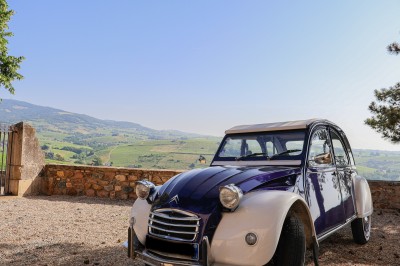 Miniature Location salle Quincié-en-Beaujolais (Rhône) - Château Du Souzy #10 Location salle Quincié-en-Beaujolais (Rhône) - Château Du Souzy #34