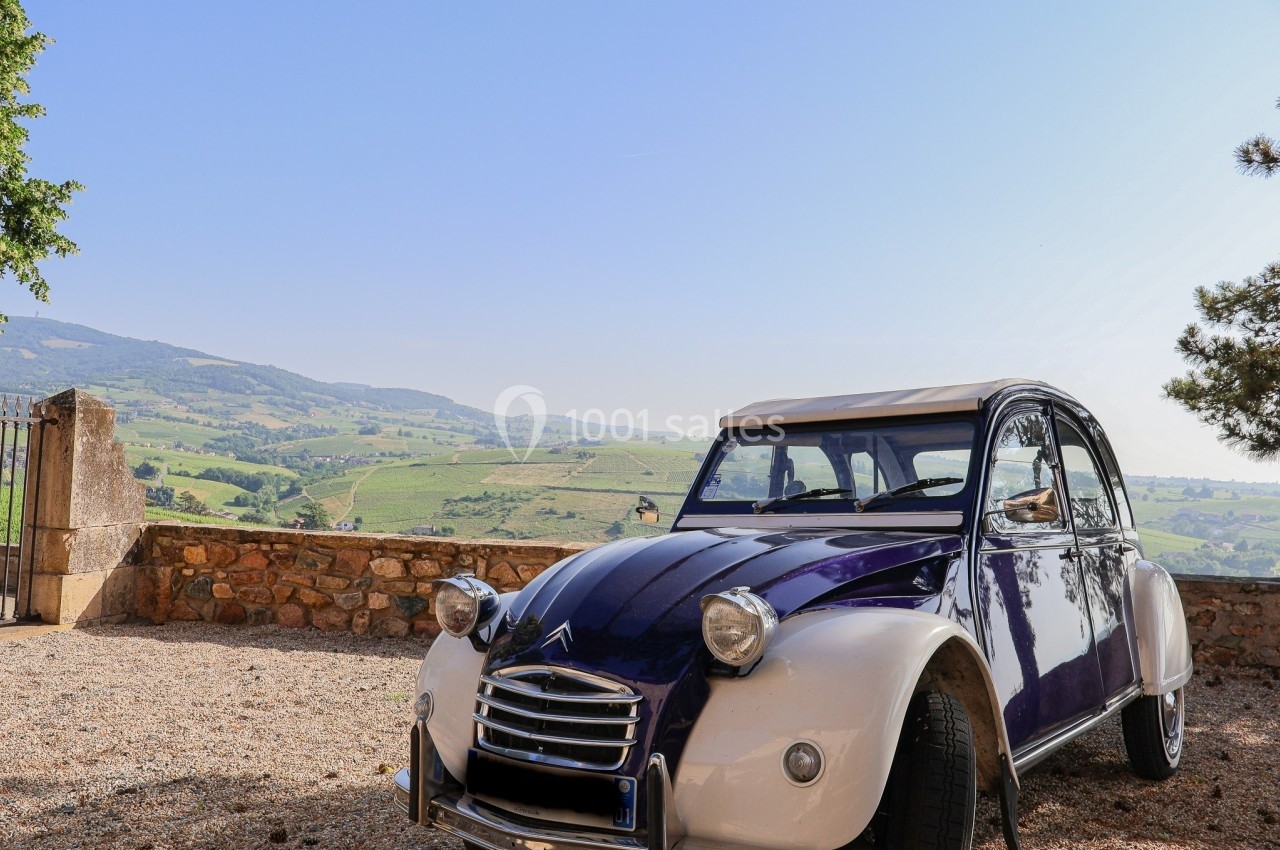 Location salle Quincié-en-Beaujolais (Rhône) - Château Du Souzy #10