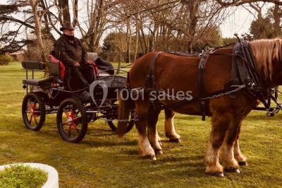 Location salle Lagord (Charente-Maritime) - Hôtel & Spa Du Château #16