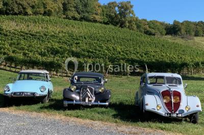 Une femme en robe de mariée sourit face à un homme en costume orange dans un vignoble verdoyant.