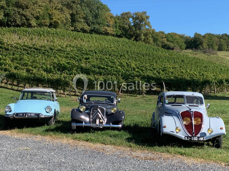 Trois voitures anciennes stationnées devant un vignoble verdoyant sous un ciel dégagé.