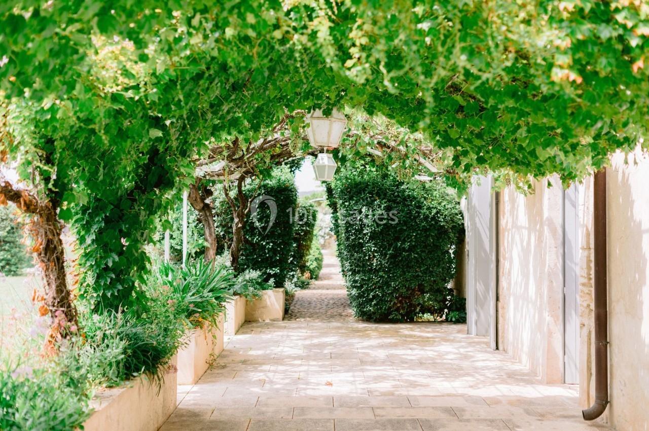 Allée pavée bordée de verdure avec des lampes suspendues et une pergola couverte de feuillage.