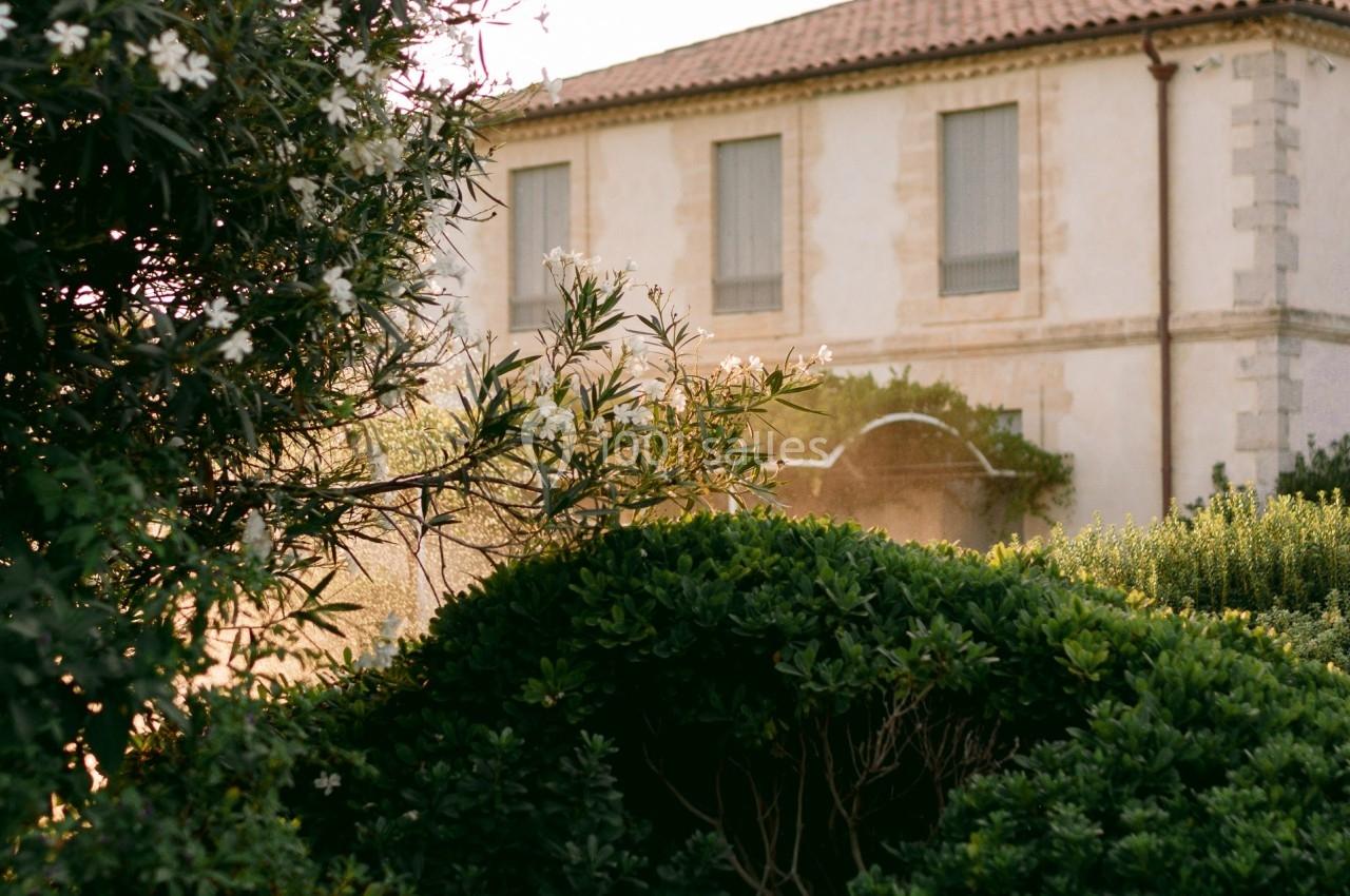 Façade d'une maison en pierre avec toit en tuiles, entourée de végétation dense sous une lumière douce.