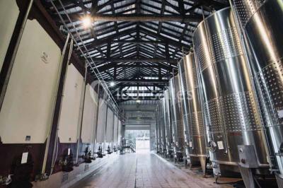 Façade d'une maison en pierre avec toit en tuiles, entourée de végétation dense sous une lumière douce.