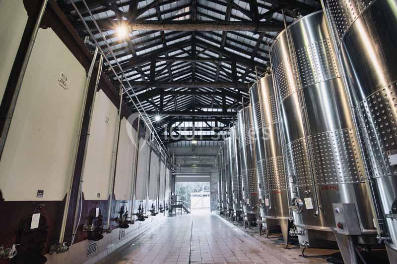 Cuves en acier inoxydable et en béton alignées dans une cave vinicole sous une charpente en bois.
