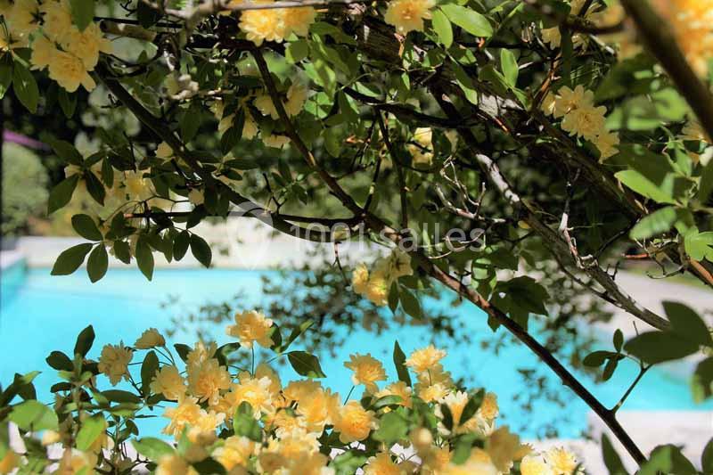 Location salle Maubec (Vaucluse) - Domaine de la Bastide du Bois Breant #12