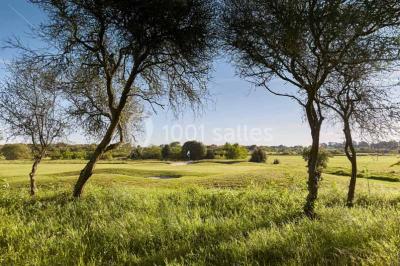 Location salle Saint-Gildas-de-Rhuys (Morbihan) - Le Mât des Sens #23