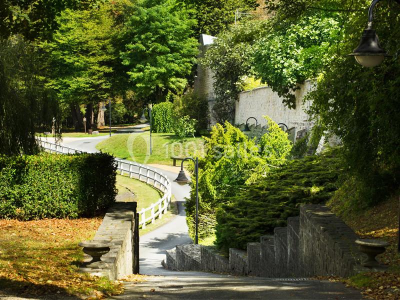 Escalier en pierre descendant vers une allée bordée d'arbres et de verdure dans un parc lumineux.