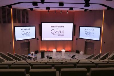 Salle lumineuse avec décoration naturelle, comprenant un canapé en bois, une table en tronc d'arbre et des chaises colorées.