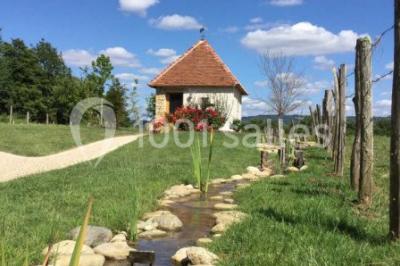 Bouquet de roses roses posé sur une surface blanche avec deux alliances dorées au premier plan.