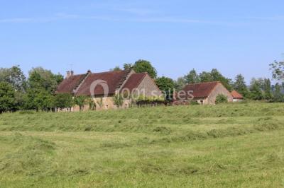 Bouquet de roses roses posé sur une surface blanche avec deux alliances dorées au premier plan.