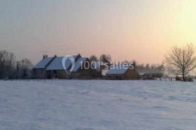 Bouquet de roses roses posé sur une surface blanche avec deux alliances dorées au premier plan.
