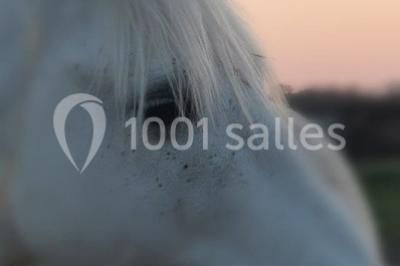 Maison blanche aux volets bleus éclairée la nuit, entourée d'arbres et d'une pelouse.