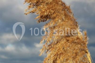 Maison blanche aux volets bleus éclairée la nuit, entourée d'arbres et d'une pelouse.