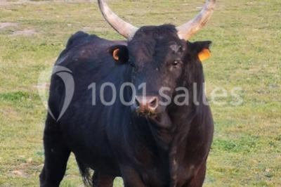 Maison blanche aux volets bleus éclairée la nuit, entourée d'arbres et d'une pelouse.