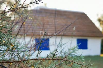 Maison blanche aux volets bleus éclairée la nuit, entourée d'arbres et d'une pelouse.