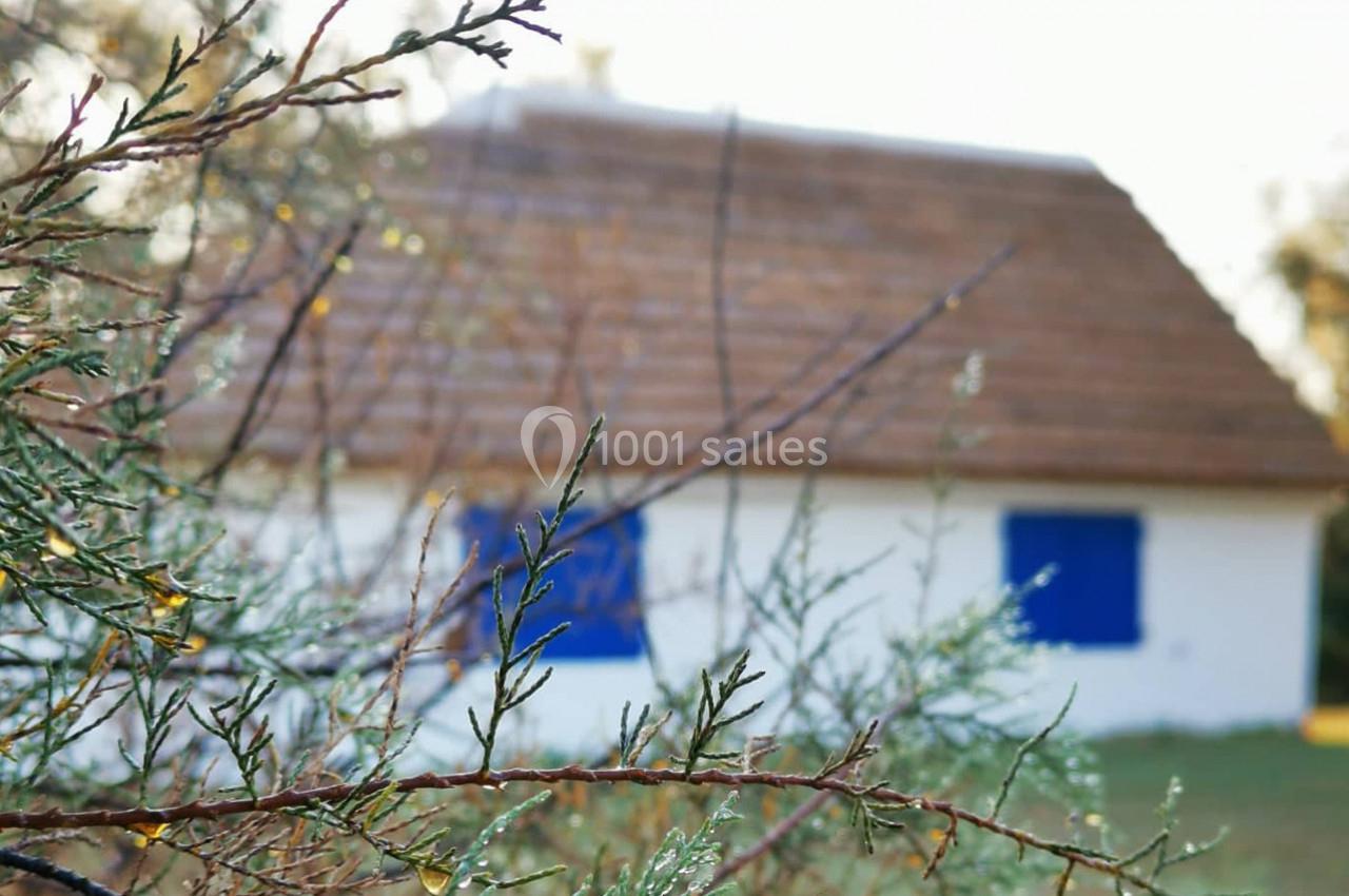 Brindilles au premier plan avec une maison blanche aux volets bleus et un toit en chaume flou en arrière-plan.