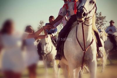 Maison blanche aux volets bleus éclairée la nuit, entourée d'arbres et d'une pelouse.