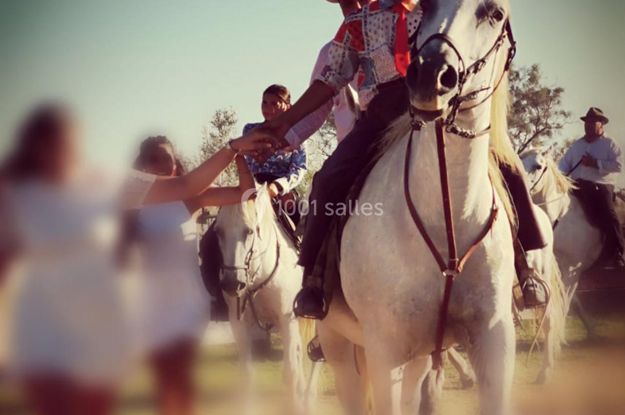 Un cavalier sur un cheval blanc tend la main à une personne dans une scène en extérieur, sous un ciel dégagé.