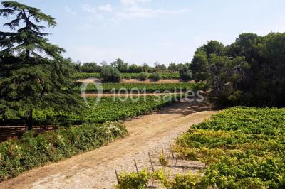 Location salle Pézenas (Hérault) - Château Saint Martin de Graves #18