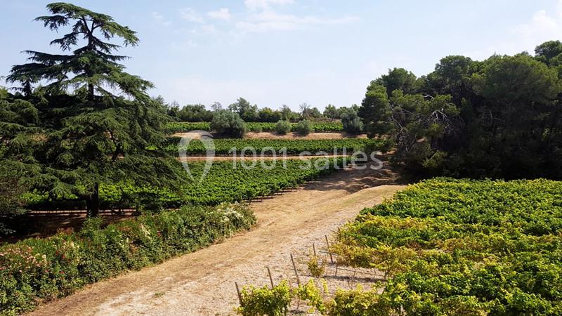 Location salle Pézenas (Hérault) - Château Saint Martin de Graves #18