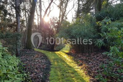 Cour d'une maison en pierre avec terrasse fleurie, arbres, guirlandes lumineuses et sol en gravier.
