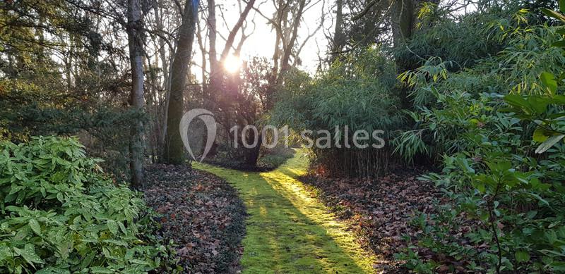 Chemin étroit recouvert de mousse traversant un sous-bois verdoyant, éclairé par le soleil bas entre les arbres.