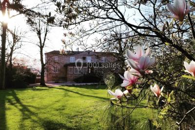 Cour d'une maison en pierre avec terrasse fleurie, arbres, guirlandes lumineuses et sol en gravier.