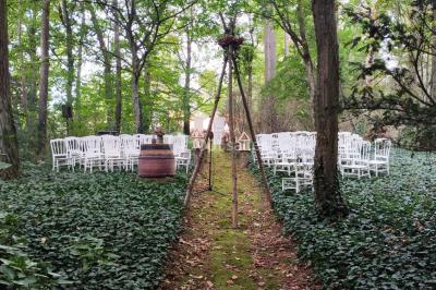 Cour d'une maison en pierre avec terrasse fleurie, arbres, guirlandes lumineuses et sol en gravier.