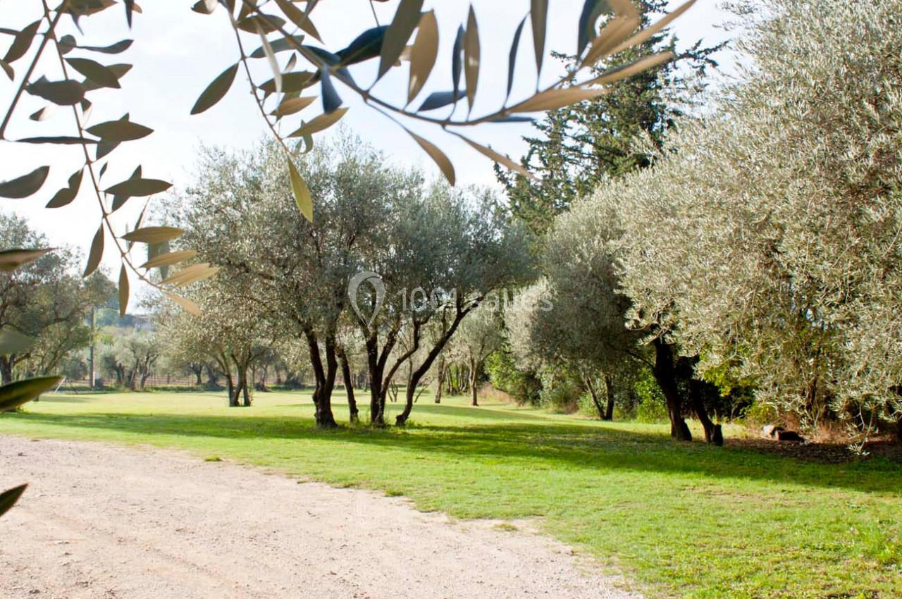 Location salle Gémenos (Bouches-du-Rhône) - Mas de Garguier #6