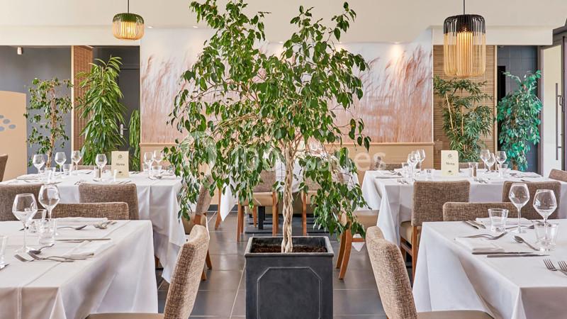 Location salle Le Mée-sur-Seine (Seine-et-Marne) - Résidence Château Du Mée #4