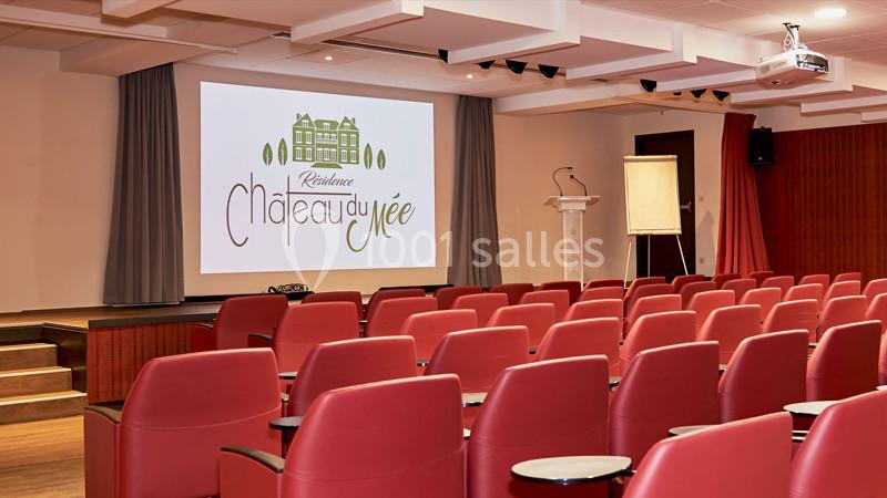 Location salle Le Mée-sur-Seine (Seine-et-Marne) - Résidence Château Du Mée #9
