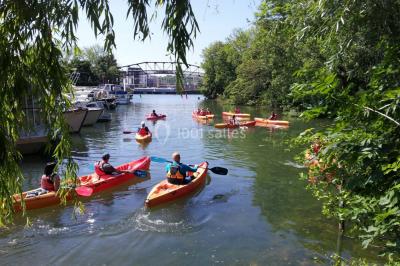 Tables dressées avec des ustensiles de cuisine, planches vertes et ingrédients, dans une salle lumineuse.