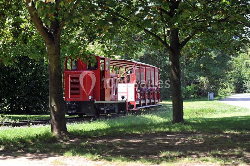 Petit train rouge transportant des passagers, circulant sur des rails dans un parc verdoyant sous des arbres.
