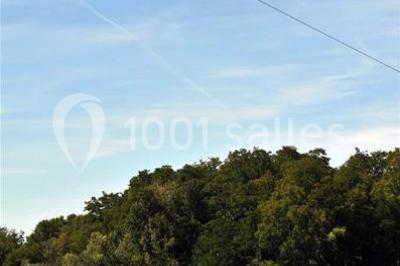 Tables dressées avec des ustensiles de cuisine, planches vertes et ingrédients, dans une salle lumineuse.