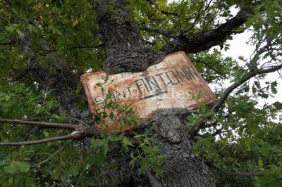 Vue aérienne du Domaine - Évènement