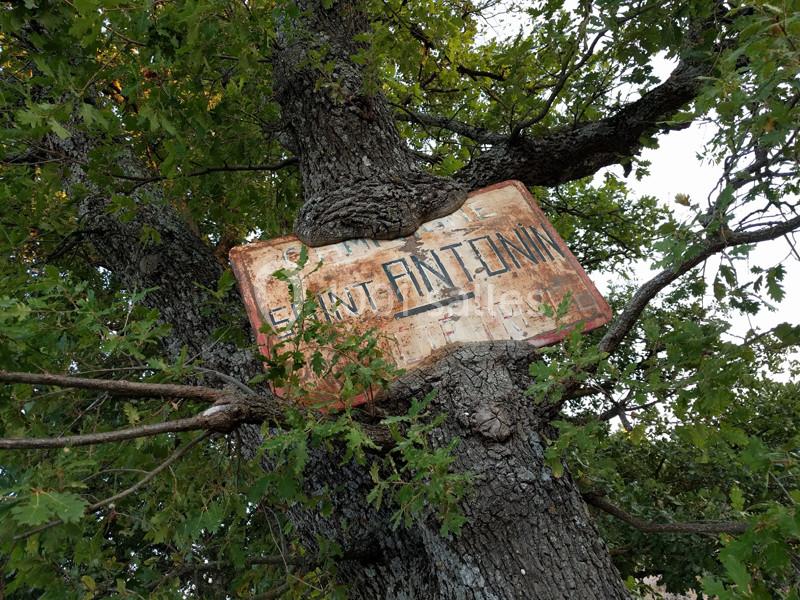 Bienvenue au Domaine Saint-Antonin, depuis 1633 !