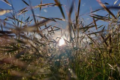 Vue aérienne du Domaine - Évènement