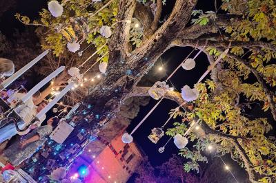 Vue aérienne du Domaine - Évènement