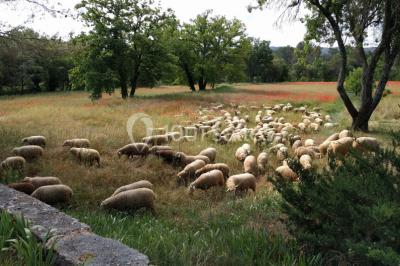 Vue aérienne du Domaine - Évènement
