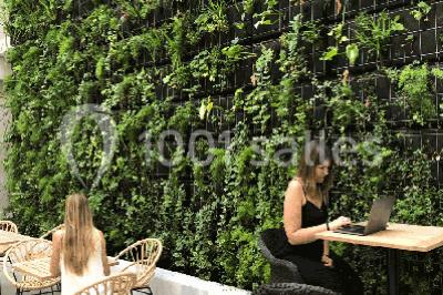 Mur végétal avec plantes vertes en arrière-plan, deux femmes assises, l'une travaillant sur un ordinateur portable.
