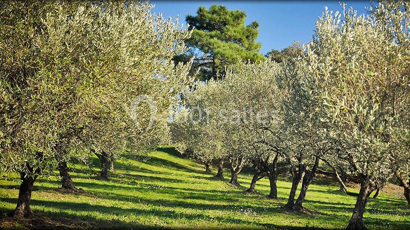 Location salle Fréjus (Var) - Domaine des Oliviers de l'Esterel #20