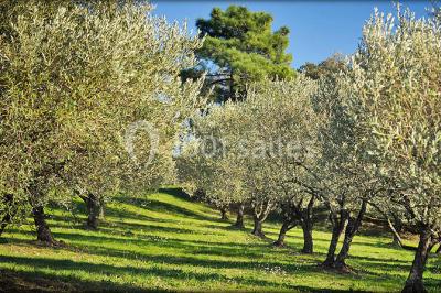 Location salle Fréjus (Var) - Domaine des Oliviers de l'Esterel #18