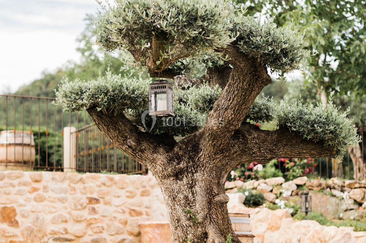 Location salle Colombier-le-Jeune (Ardèche) - Le Mas Girodier #12