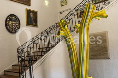 Location salle Cabris (Alpes-Maritimes) - Musée International de la Parfumerie. Mip #24