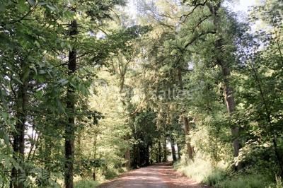 Location salle Entrains-sur-Nohain (Nièvre) - Domaine du Réveillon #24